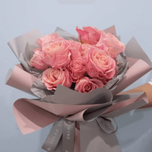 13 peach pink premium roses