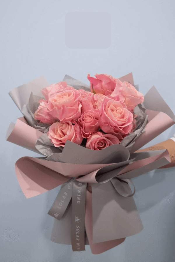 13 Peach Pink Premium Roses — Sun's Florist, Kogarah