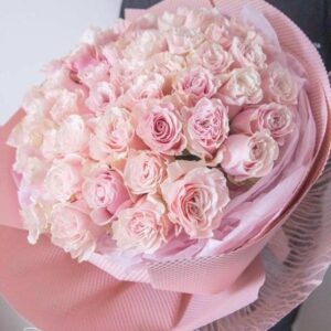 52 premium pink roses in pink