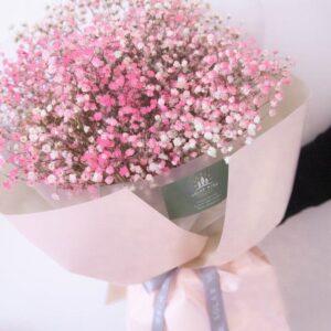 Pink baby’s breath