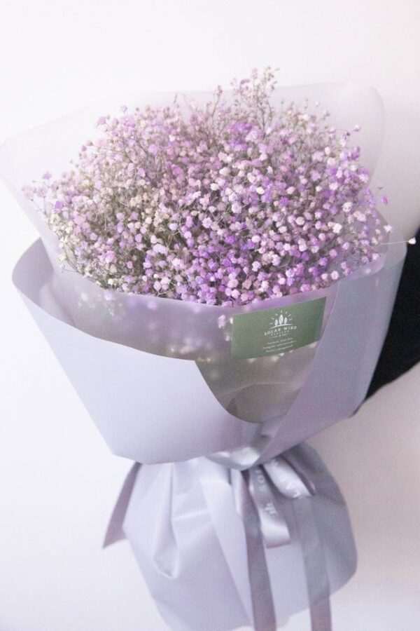 Purple Baby's Breath — Sun's Florist, Kogarah