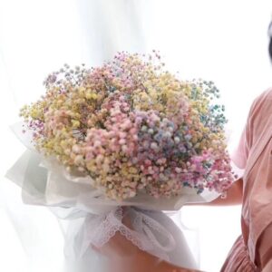 Rainbow Baby’s breath