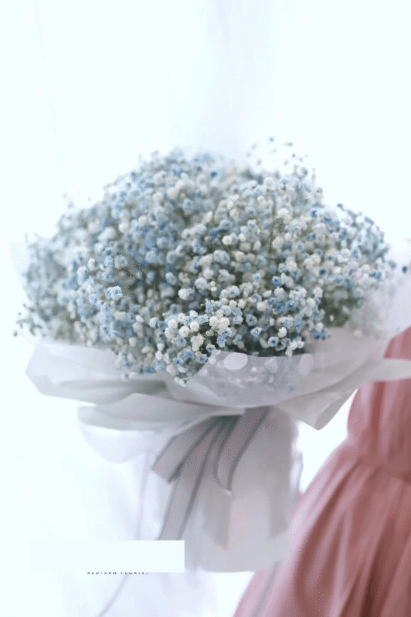 Blue Baby's breath — Sun's Florist, Kogarah
