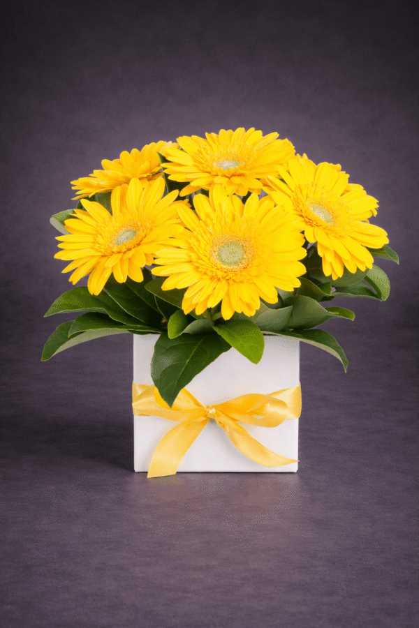 Bright Yellow Gerbera Bouquet in Gift Box — Sun's Florist, Kogarah