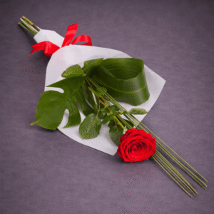 Elegant Red Rose with Green Accents