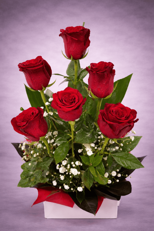 Red Roses with Dew Drops — Sun's Florist, Kogarah