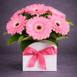 Vibrant Gerbera Daisies in a Gift Box