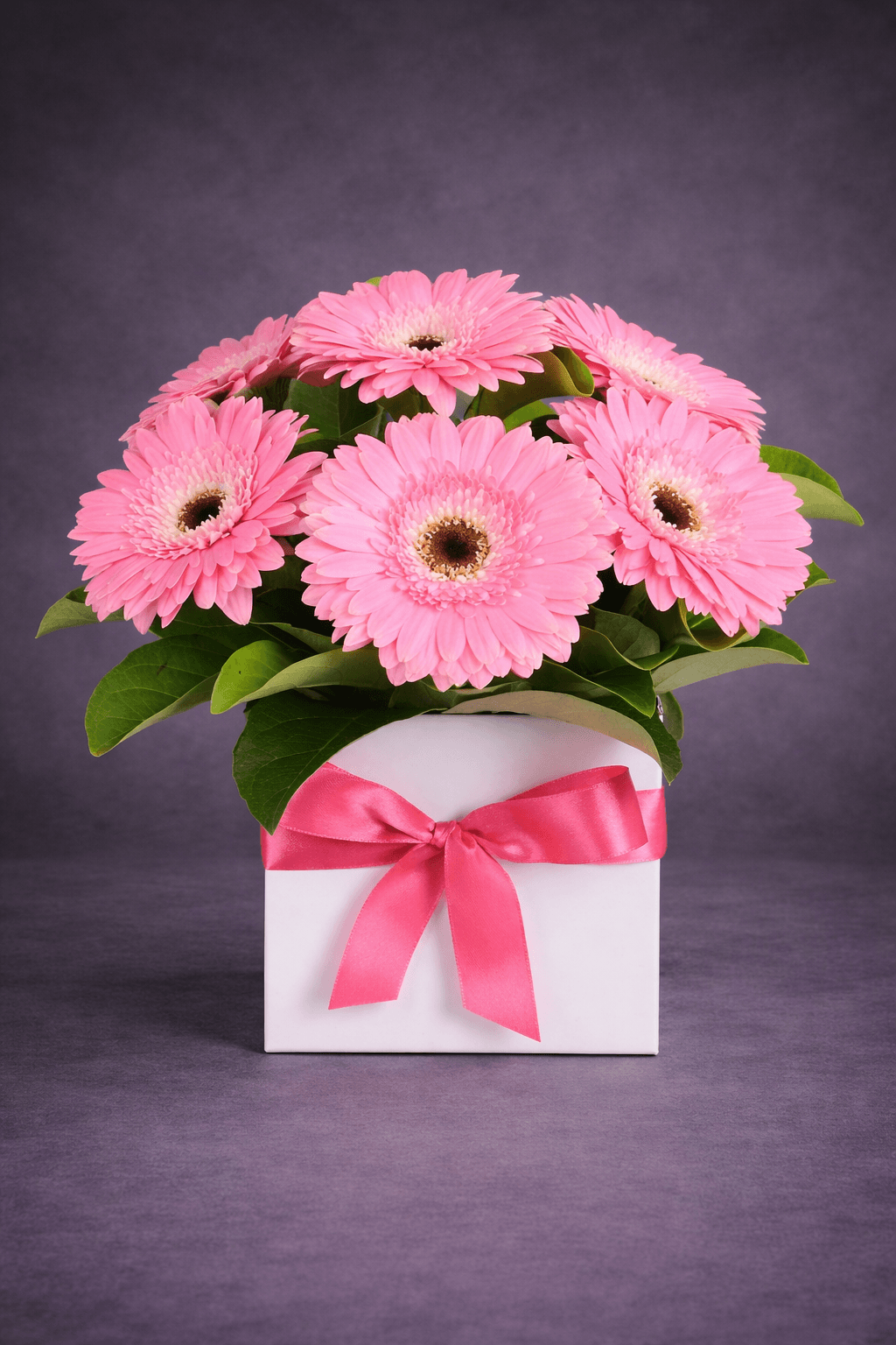 Vibrant Gerbera Daisies in a Gift Box