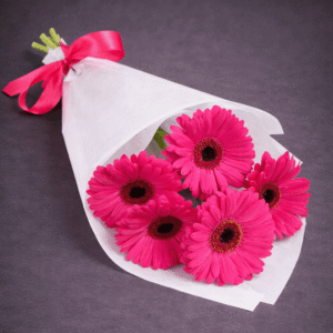 Vibrant Pink Gerbera Daisies Bouquet