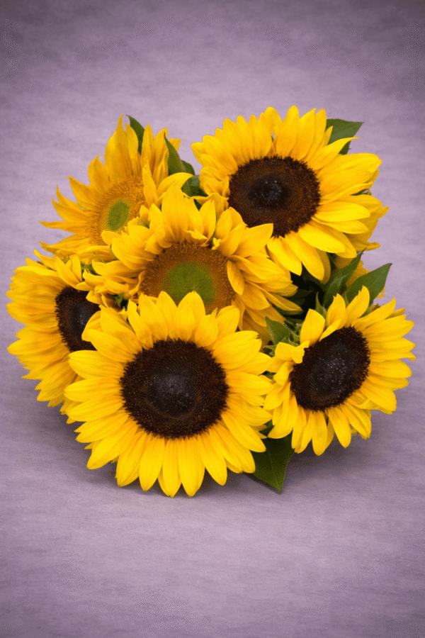 Vibrant Sunflowers arranged by Sun's Florist, Kogarah